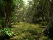 Jouer à Amazon race 2