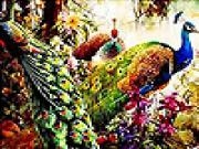 Jouer à Dream peacocks slide puzzle
