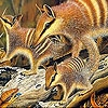Jouer à Cute forest animals slide puzzle