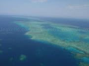 Jouer à Great barrier reef jigsaw