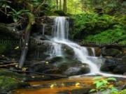 Jouer à Scenic streams jigsaw