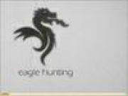 Jouer à Eagle hunting