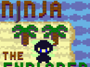 Jouer à Ninja the explorer