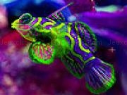 Jouer à Glossy fish slide puzzle