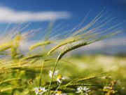 Jouer à Wind of change