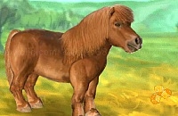 Jouer à My dear pony