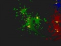 Jouer à Battle paint