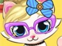 Jouer à Kitten salon