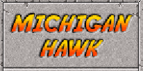 Jouer à Michigan hawk