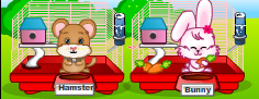 Jouer à My cute pets 2 easy