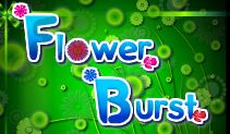 Jouer à Flower burst