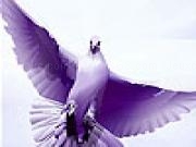Jouer à Flying doves freedom puzzle