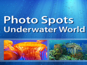 Jouer à Photo spots - underwater world