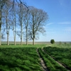 Jouer à Jigsaw: grassy fields