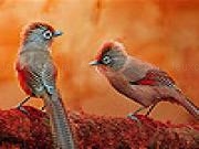 Jouer à Autumn village birds slide puzzle