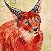 Jouer à Orange tired bobcat puzzle