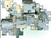 Jouer à Little polar bear