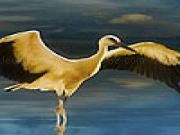 Jouer à Great white storks puzzle