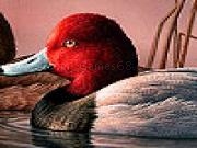 Jouer à Ducks floating in the water puzzle