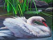 Jouer à Swan in the reed slide puzzle