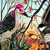 Jouer à Forest  birds nest puzzle
