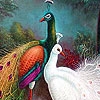 Jouer à Wondrous peacocks puzzle