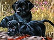 Jouer à Black funny puppies puzzle