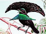 Jouer à Singer bird slide puzzle