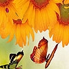 Jouer à Sunflowers garden puzzle