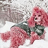 Jouer à Snow and pink dog slide puzzle