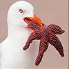 Jouer à Bird near the sea slide puzzle