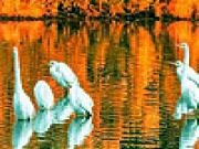 Jouer à Geese on the lake puzzle