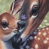 Jouer à Deers and lovely day slide puzzle