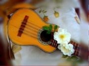 Jouer à Musical instruments jigsaw