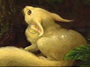 Jouer à Rabbit lost in the woods puzzle