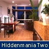 Jouer à Hiddenmania two