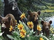 Jouer à Bear family and flowers puzzle