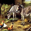 Jouer à Donkeys and  cute friends puzzle