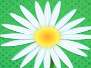 Jouer à Daisy petals