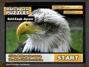 Jouer à Bald eagle jigsaw