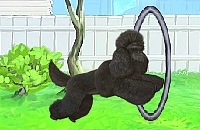 Jouer à Pretty poodle