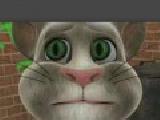 Jouer à Talking tom cat