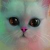 Jouer à Alone little kitty puzzle