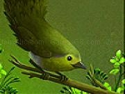 Jouer à Hungry goldcrest slide puzzle