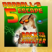 Jouer à Oddballs escape 5: back to the shelter