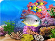 Jouer à Coral reefs