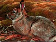 Jouer à Field rabbits puzzle