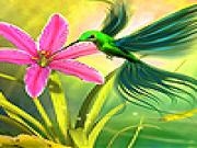 Jouer à Hummingbird in the garden slide puzzle