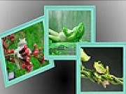 Jouer à Green funny frogs puzzle