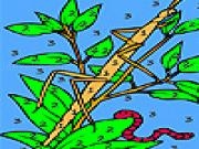 Jouer à Worm and dragonfly coloring